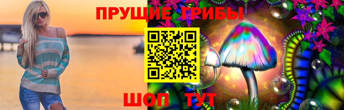 Краснознаменск  Галлюциногенные грибы GOLDEN TEACHER  Вход с VPN 